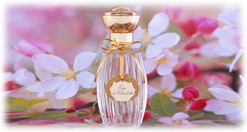 rangeWomenEauCharlotte-axe