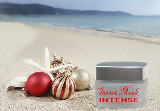 Christmas at the beach