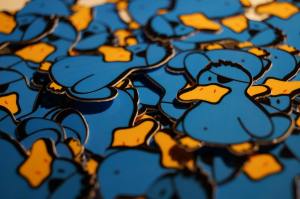 1498835_245120008987183_1160882942_o