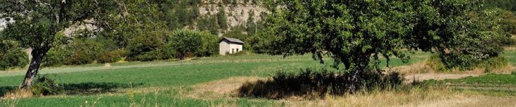 14128418268021jpg_partials_push_type_c3