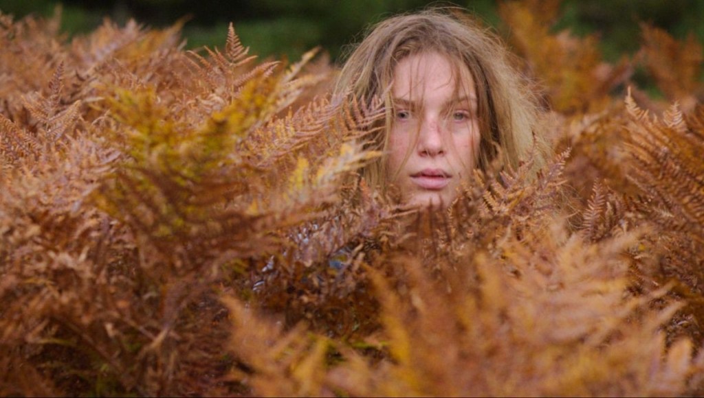 Chronique Cinéma Sauvage Camille Ponsin