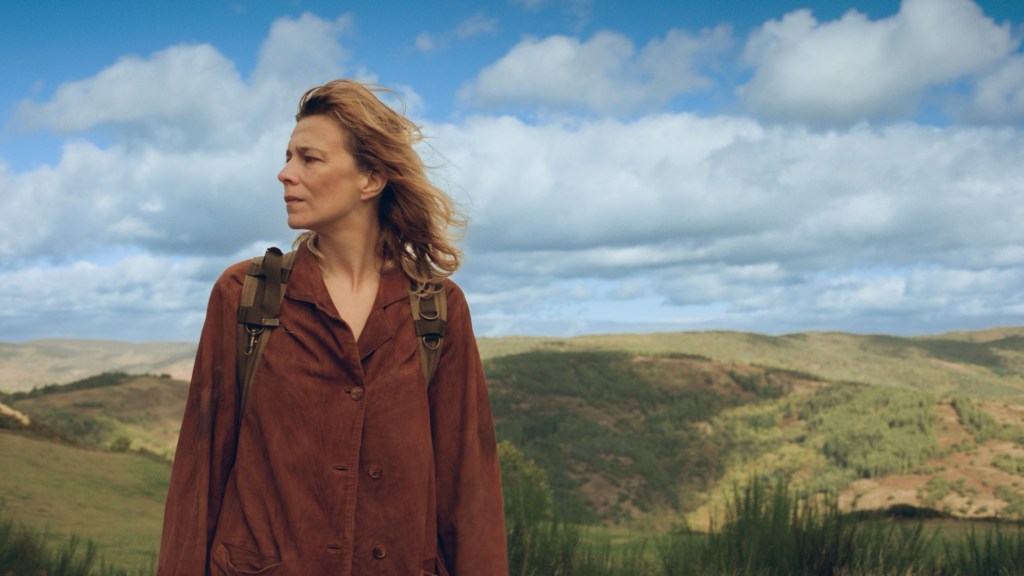 Chronique Cinéma Sauvage Camille Ponsin