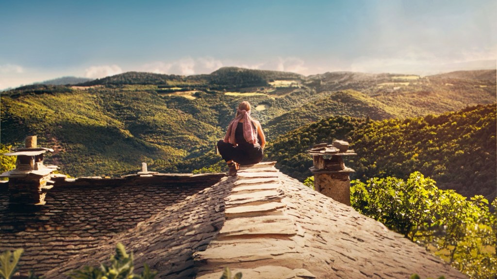 Chronique Cinéma Sauvage Camille Ponsin